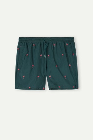 Short de Bain Intimissimi Embroidered Flamingo Homme Vert Foncé | FREX4769
